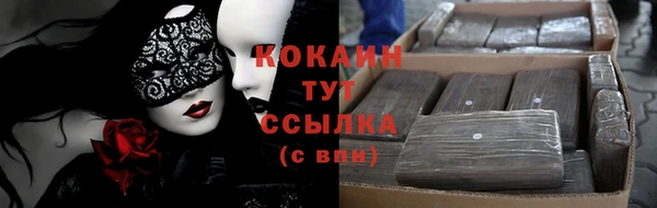дживик Арсеньев