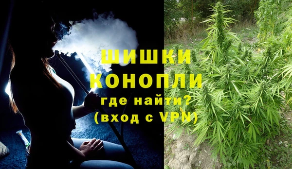 дживик Арсеньев