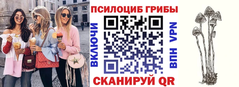 Псилоцибиновые грибы прущие грибы  закладки  Хилок 